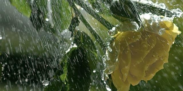 Omdo Soemarkimin banner