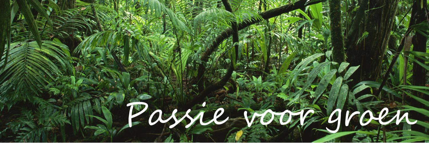 Karin van der Eijk banner