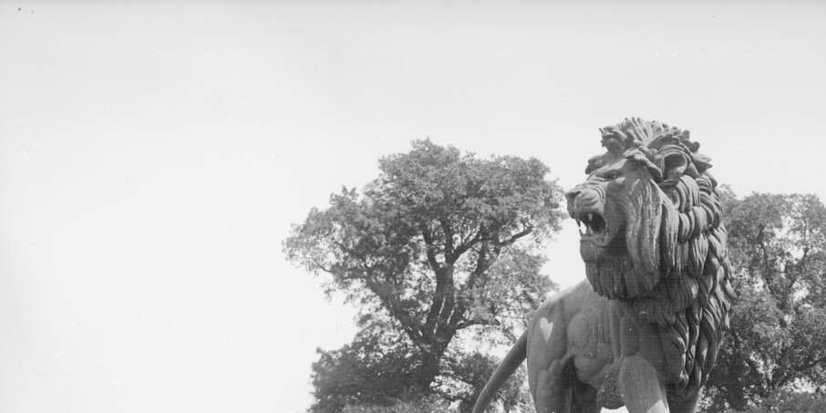 trvlRDG's profile banner image