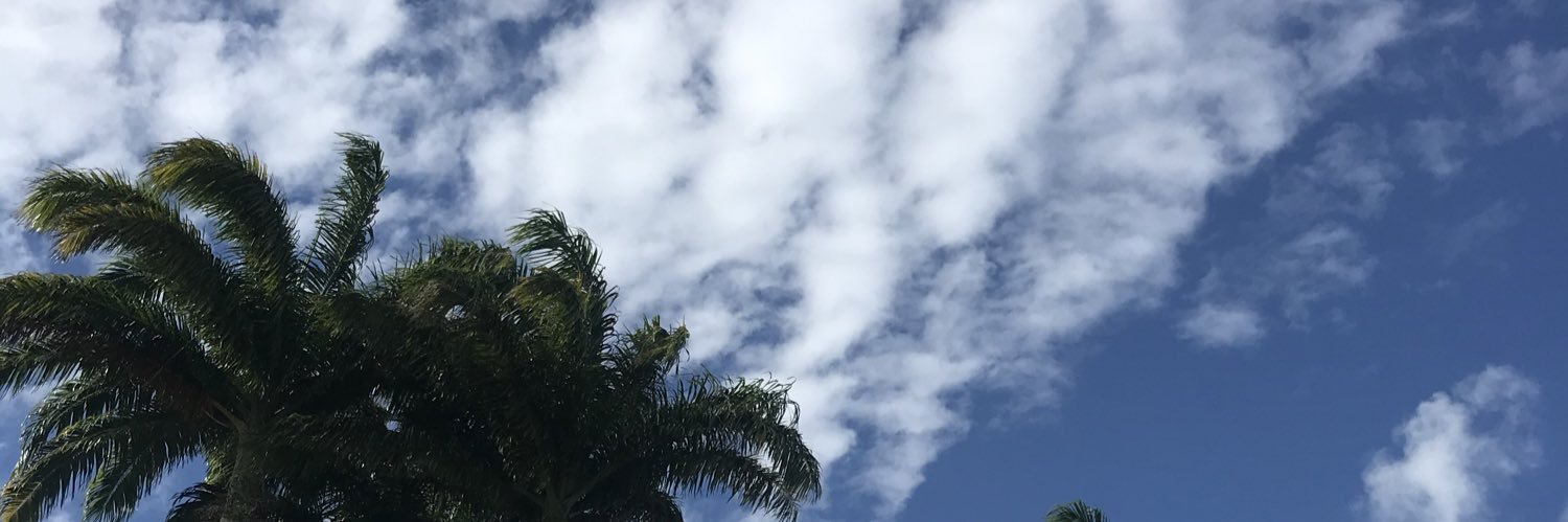 dbraddy_'s profile banner image