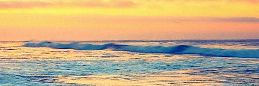 multista's profile banner image