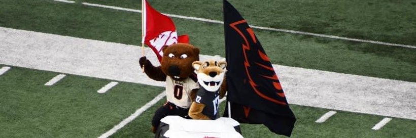 Michelle Snyder banner