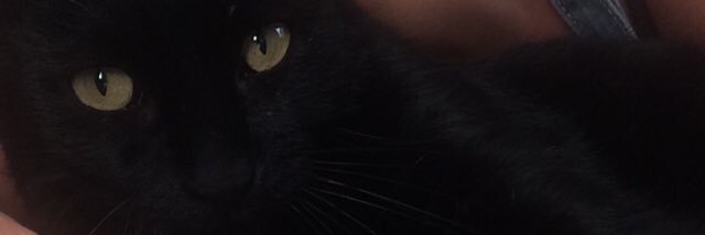 chloepst's profile banner image