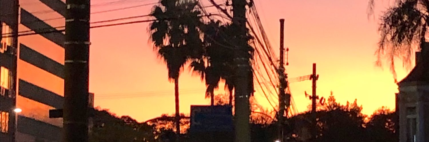 silvanerosa's profile banner image