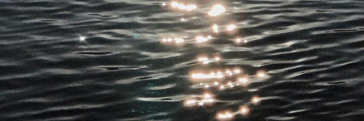 ellievalente_'s profile banner image