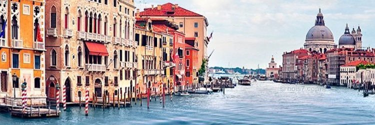ayajml1324's profile banner image