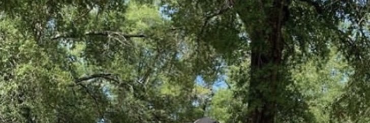 lilbrycesta's profile banner image