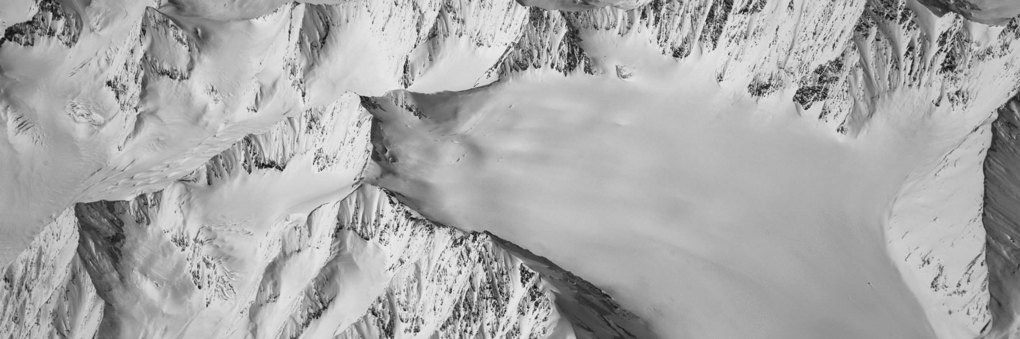 Wildlife_Camera's profile banner image