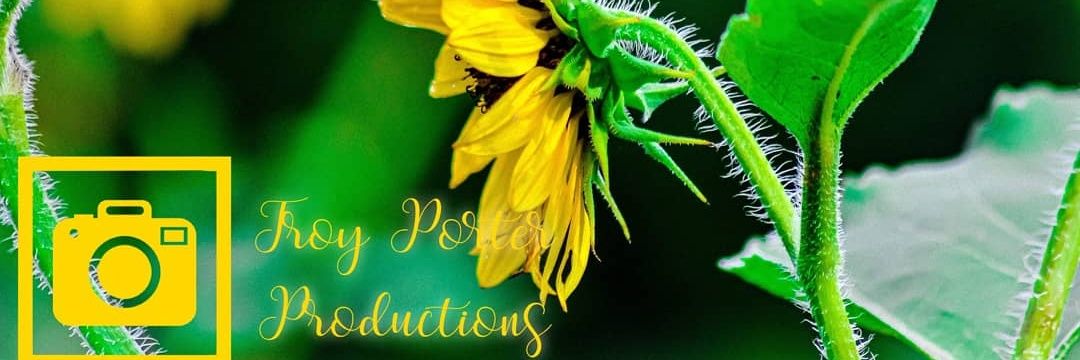 TROYP14710's profile banner image