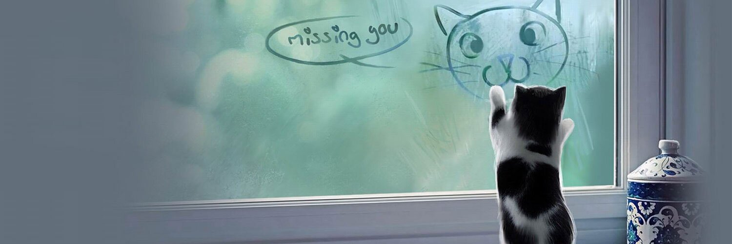yukimemi's profile banner image