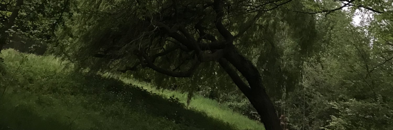 maartjeviss's profile banner image