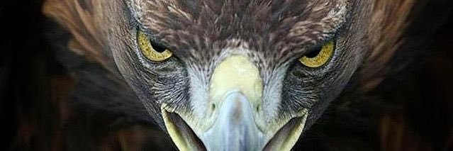 emngrs's profile banner image