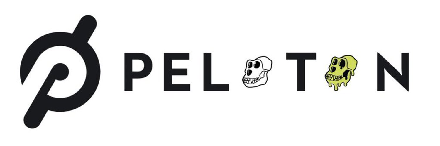 MaxKing.eth 👑 banner