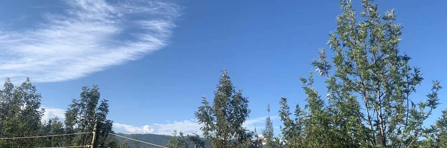 mutualexx's profile banner image