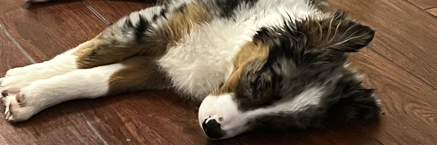 thicc_flick's profile banner image