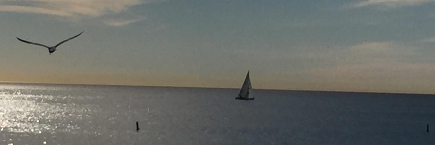 chelsholmes's profile banner image