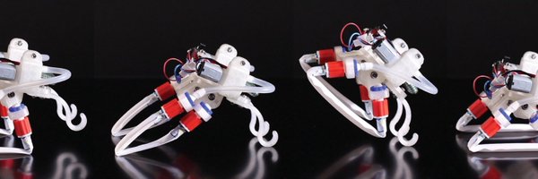 alb_comoretto Profile Banner
