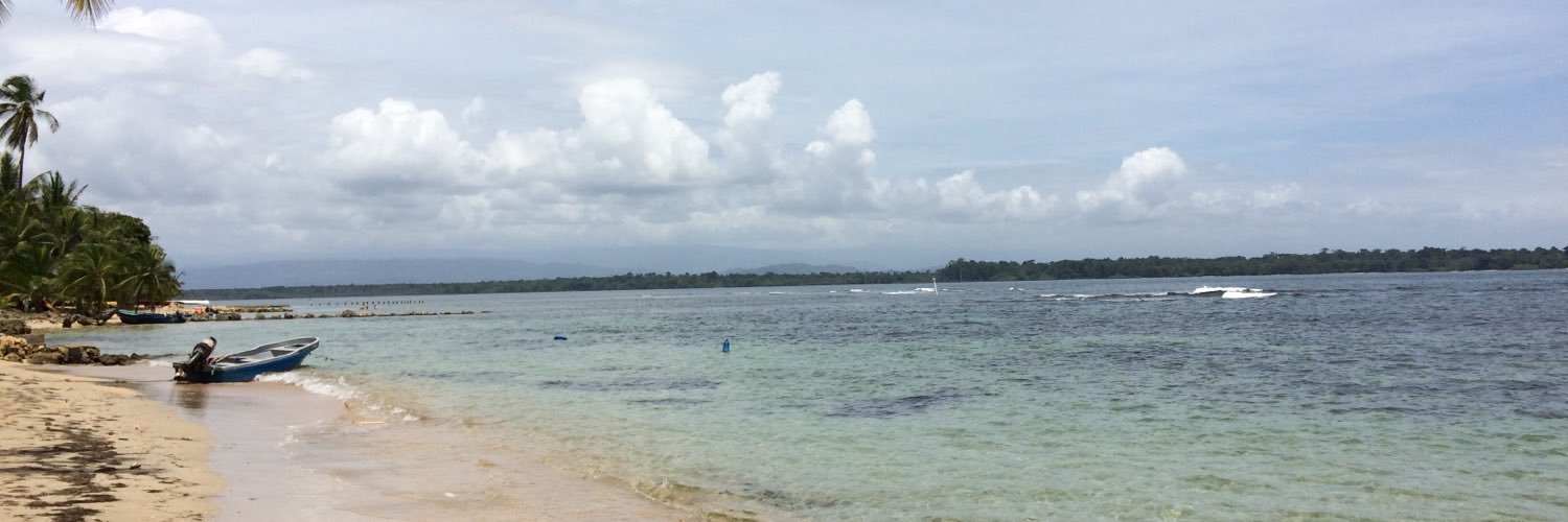 MDumanekof's profile banner image