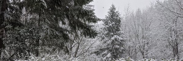 ulysseas Profile Banner