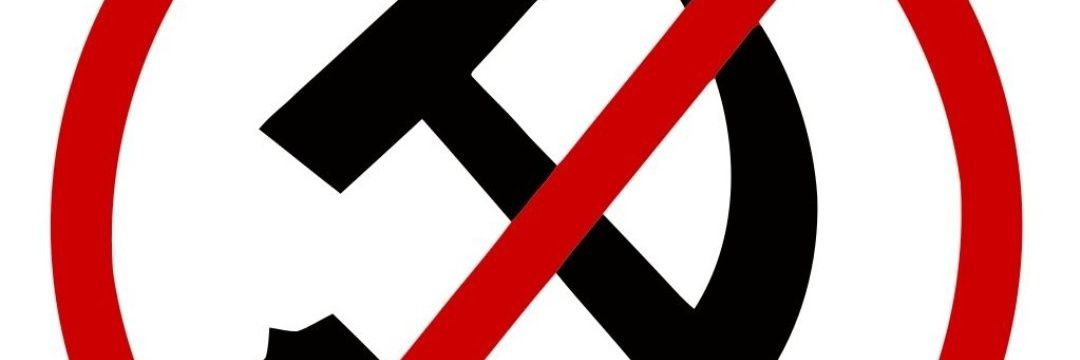 pekomadriz's profile banner image