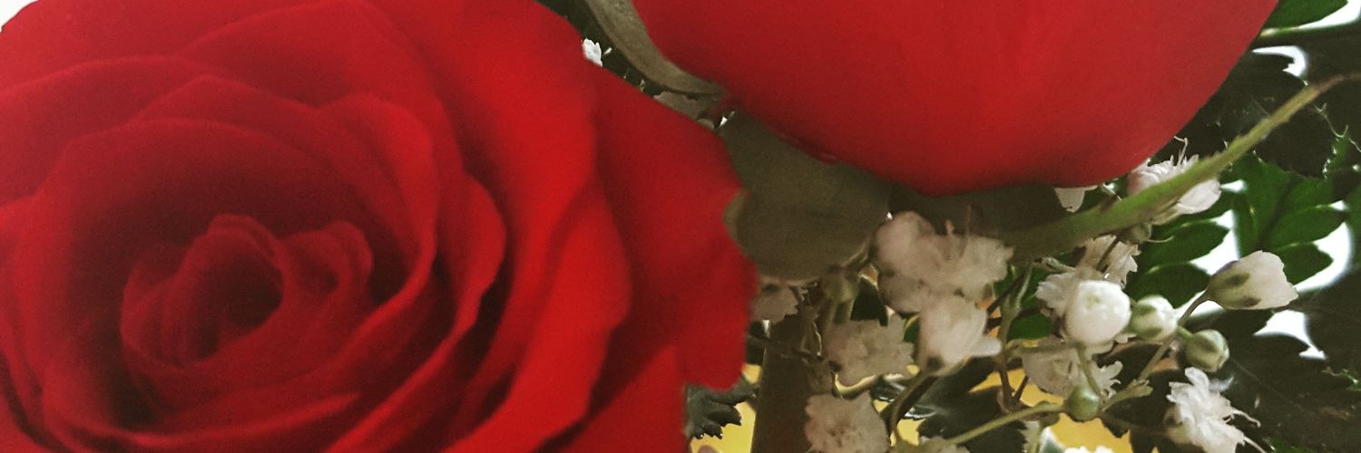 Vero_173's profile banner image