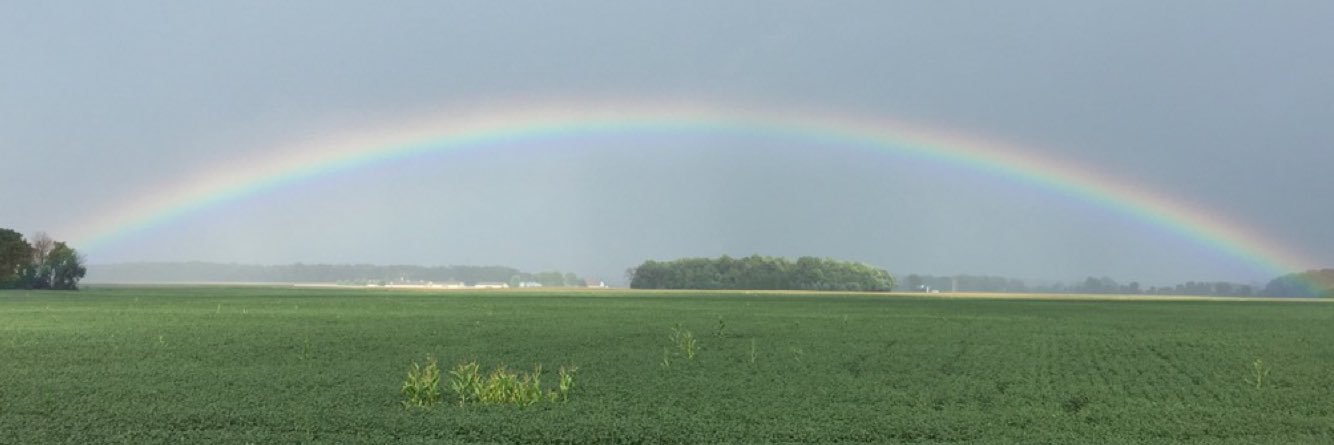 kbfeldman21's profile banner image