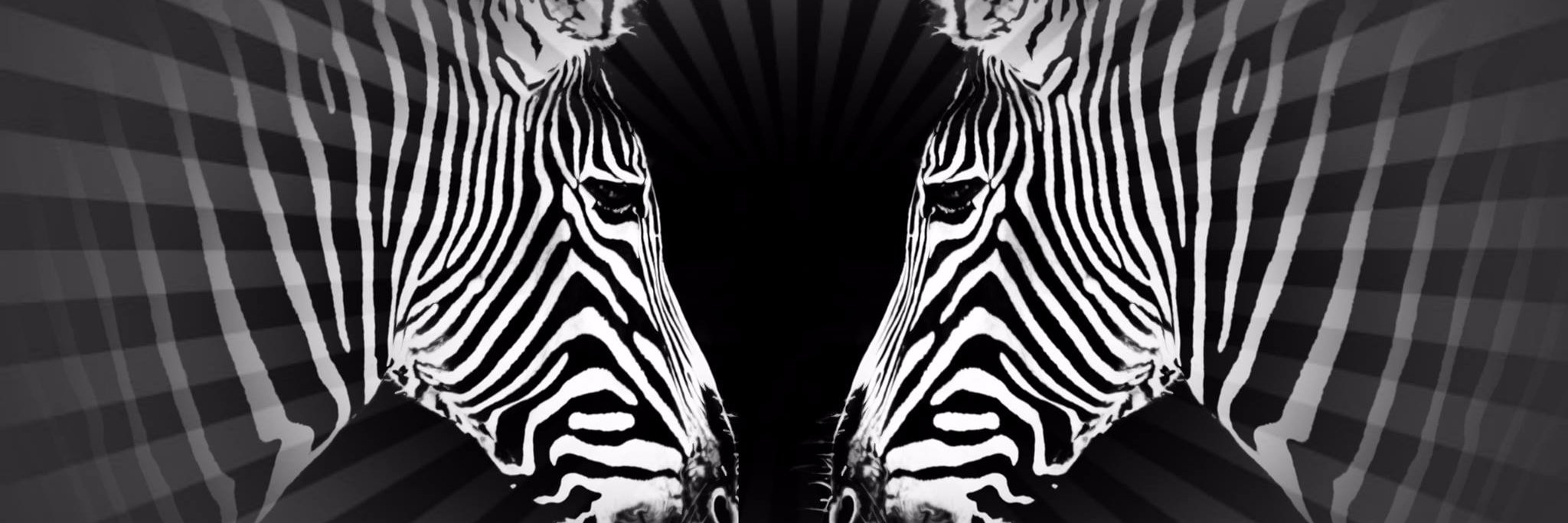 SuperVito89's profile banner image