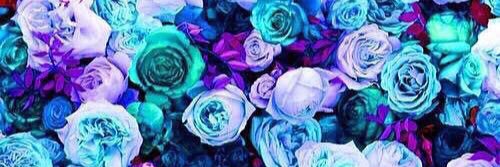 ___tag0911's profile banner image