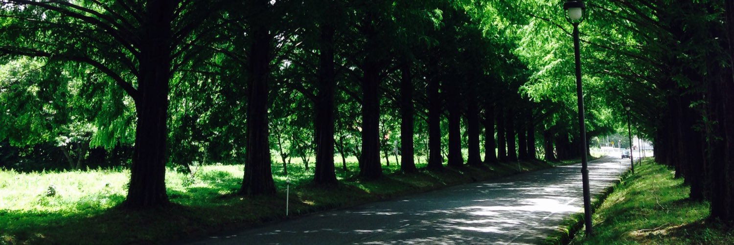 Sho_hei46's profile banner image