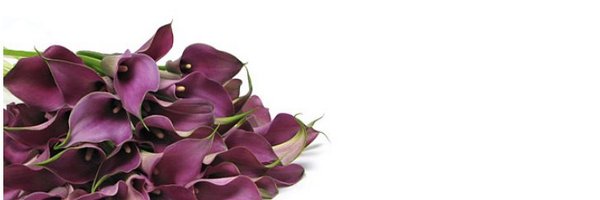 Flowerbud Profile Banner