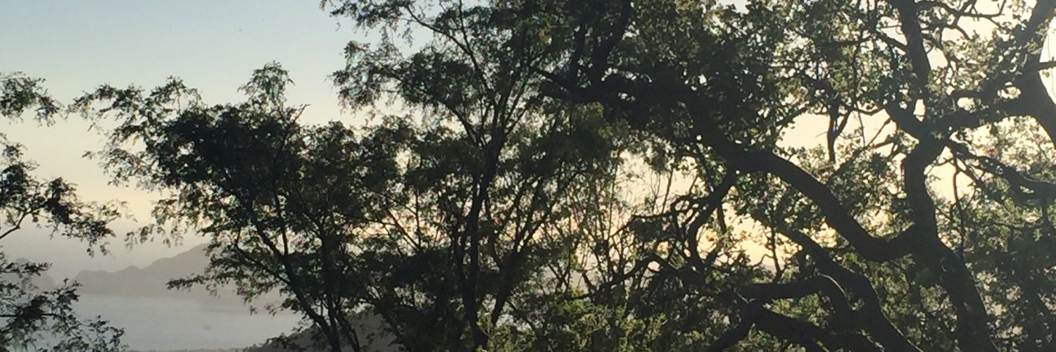 MorkEmperor's profile banner image