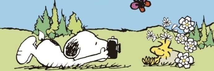 yoonenergy's profile banner image