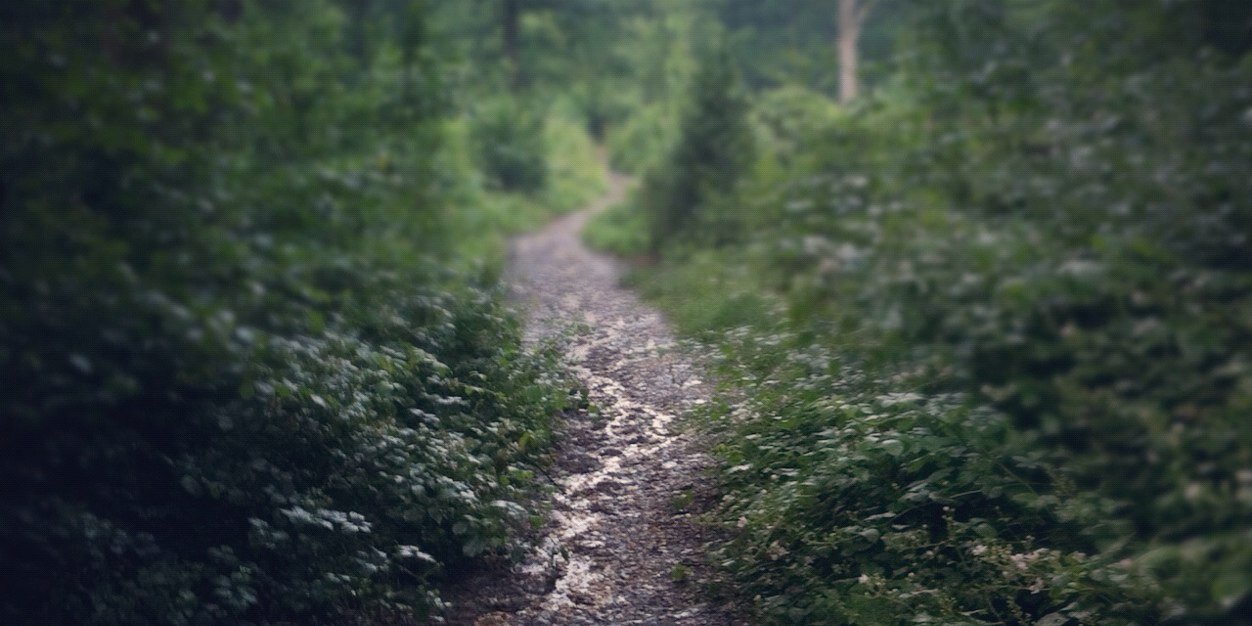 Taylor Robinson banner