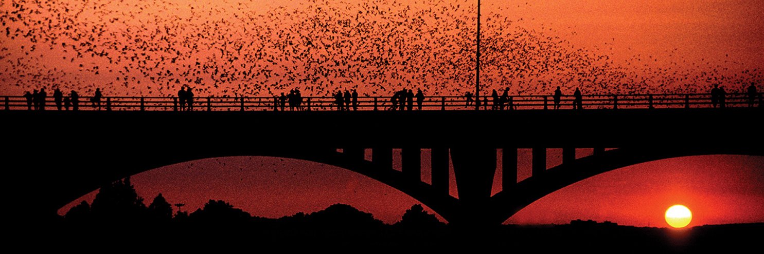 Michael Crider banner