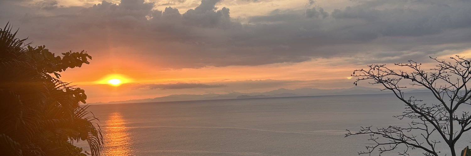 omgLilyAnn's profile banner image