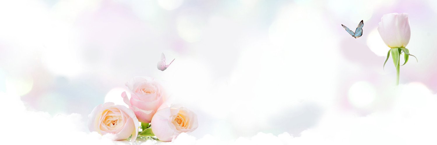 avar_erkan's profile banner image