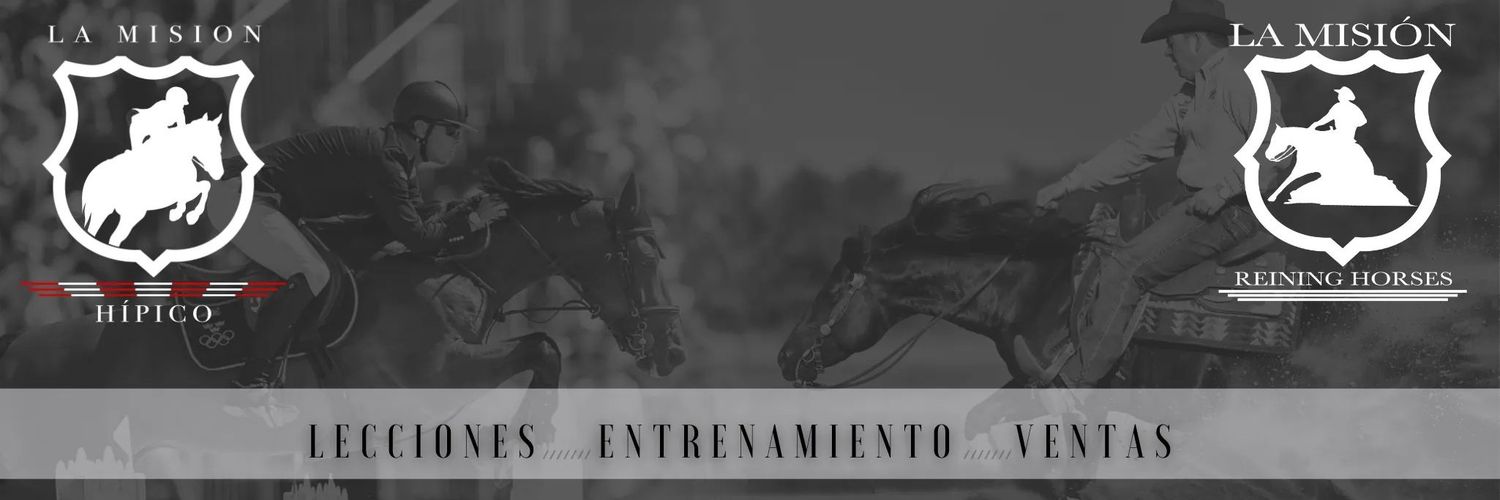 Lamisionqh's profile banner image