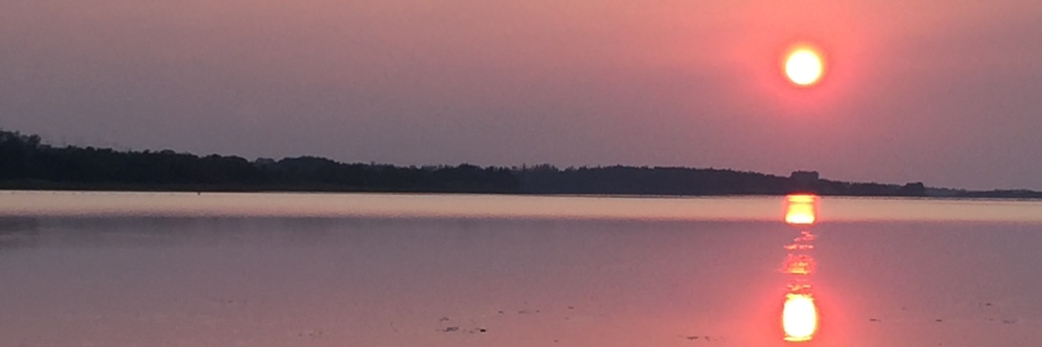 Peter MacDougall banner