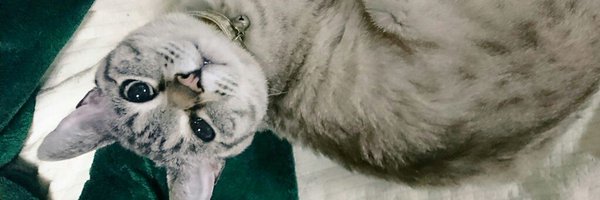 yukaxmax Profile Banner