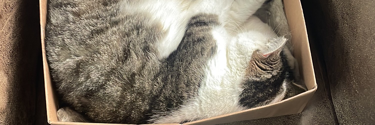 Pickle-lilly-loo banner