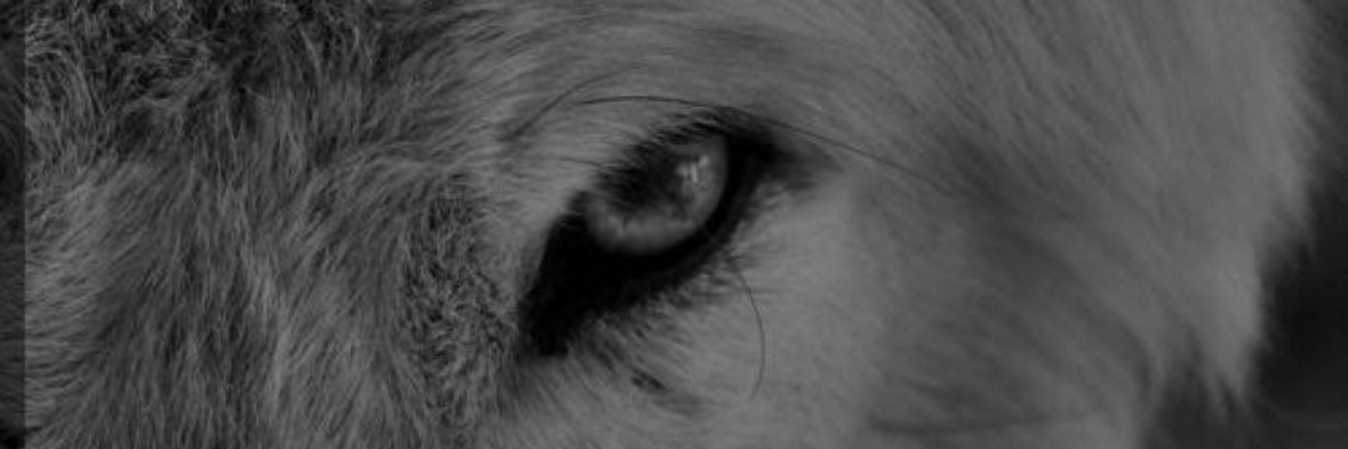 m_serhat_benzer's profile banner image