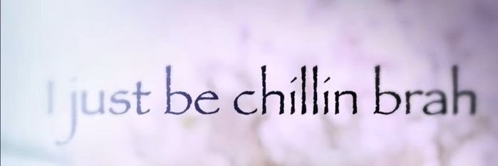 skate banner