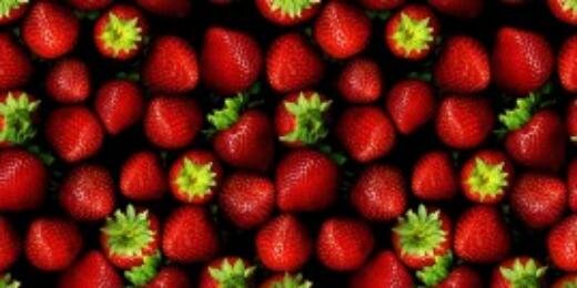 fruitsclsd's profile banner image
