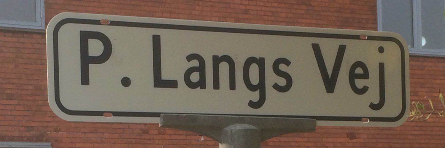 Niels Bødker Vilain banner