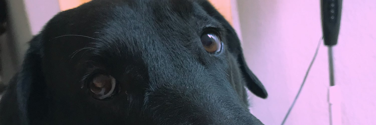 MafeGJ's profile banner image