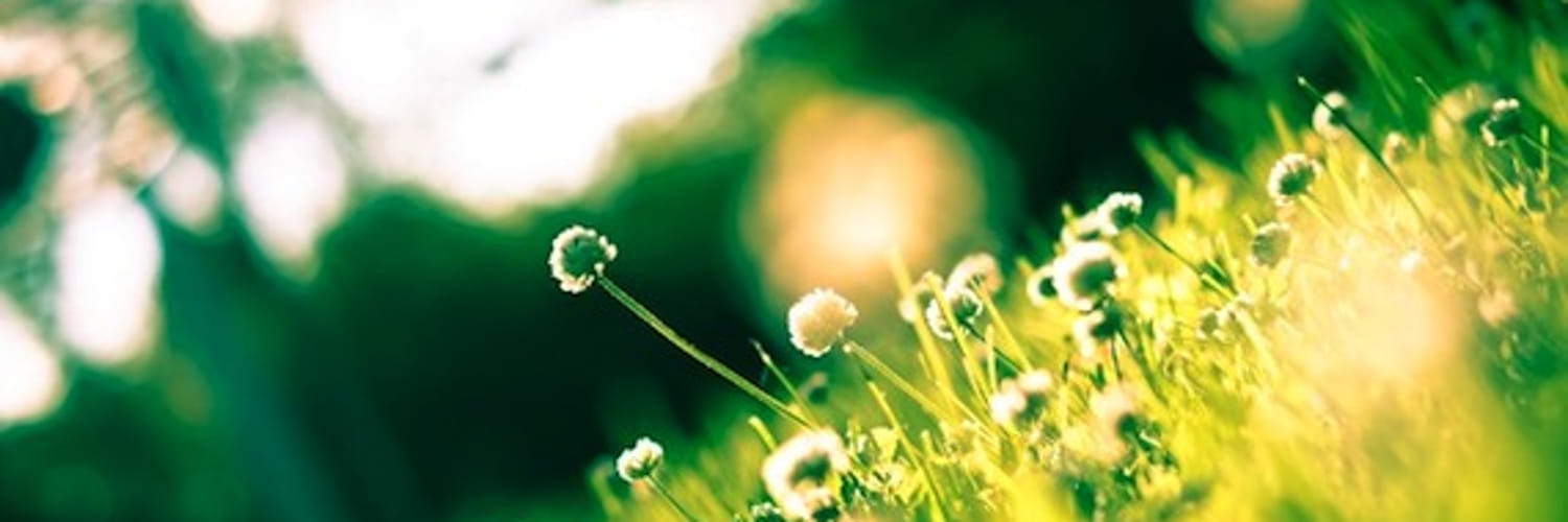 Vicky Taibo ☭ banner