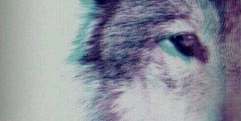 93DKSCK_'s profile banner image