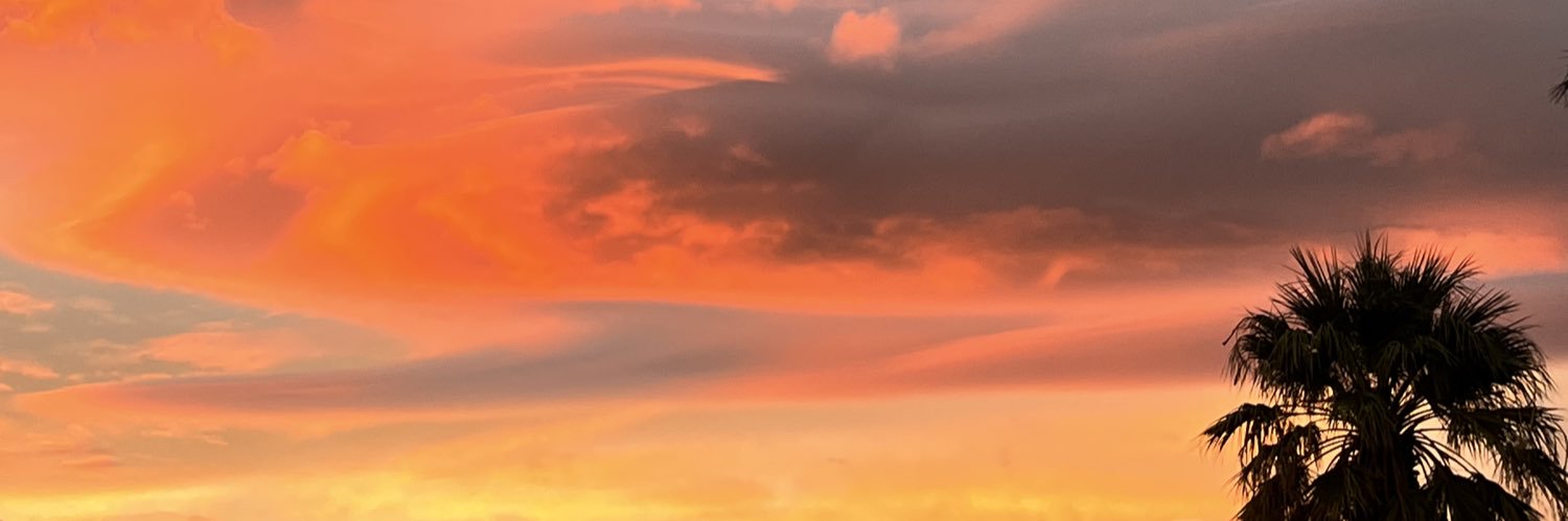 cesiliya's profile banner image