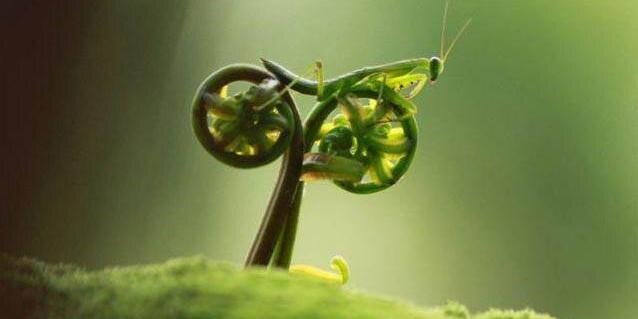 TriatletenNL's profile banner image