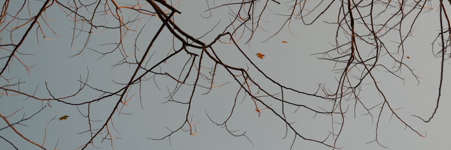 aeaoeie's profile banner image